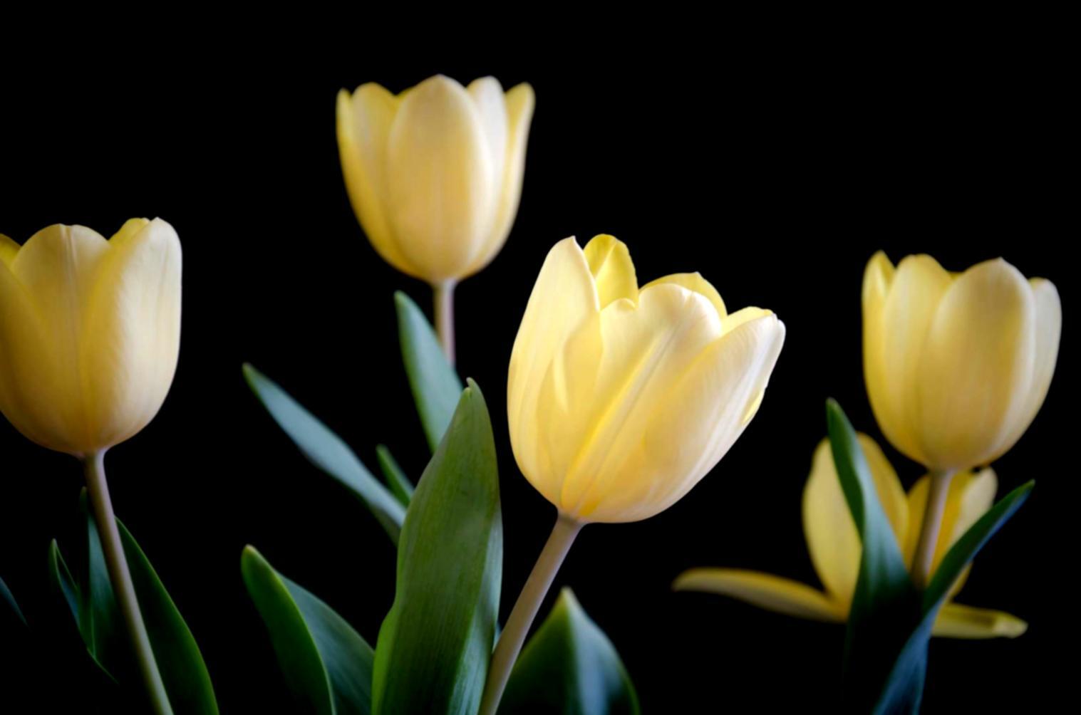 Suasana masterclass floristry dengan peserta yang antusias sedang belajar teknik merangkai bunga profesional