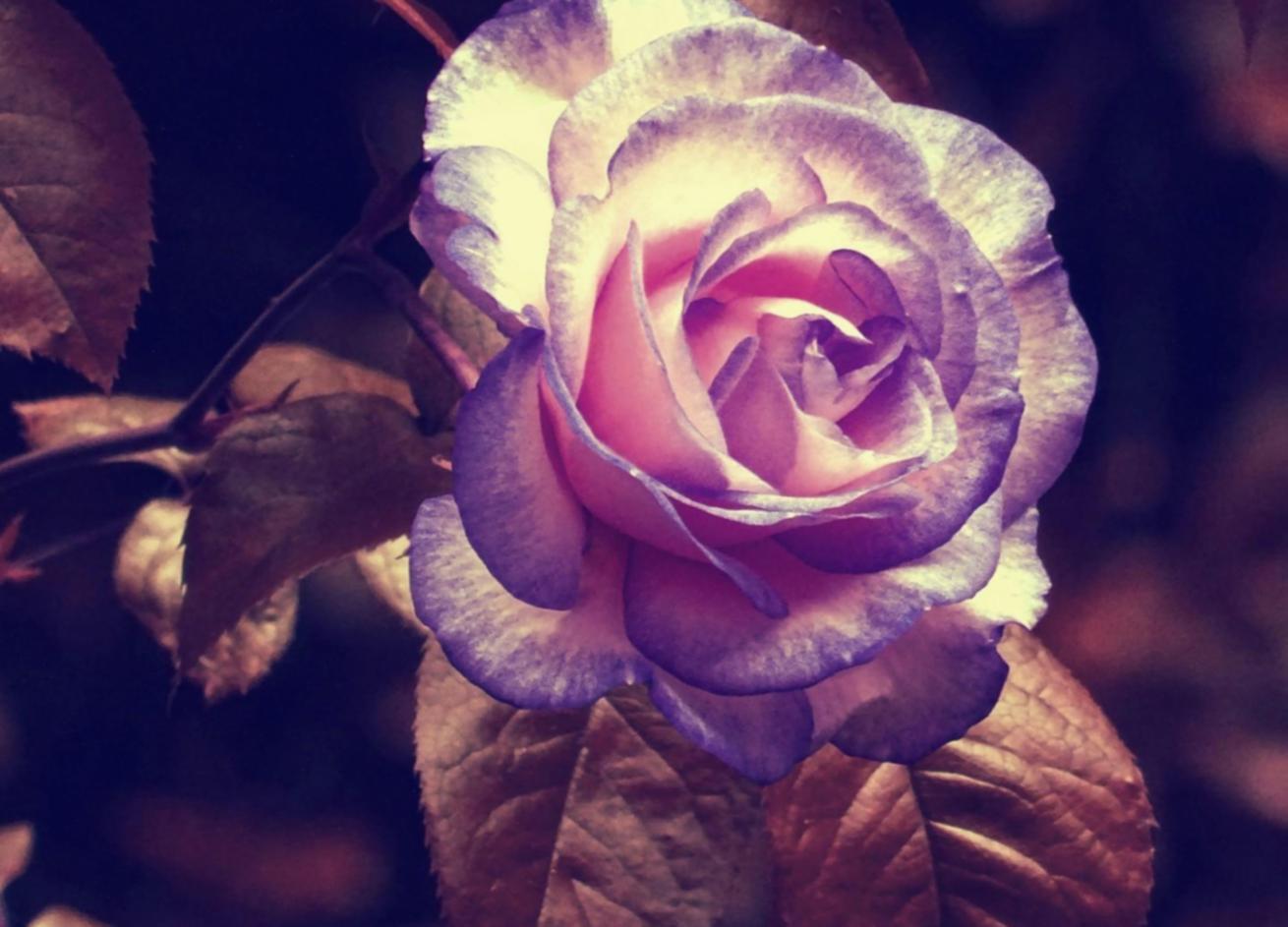 Suasana masterclass floristry dengan peserta yang antusias belajar teknik arrangement bunga